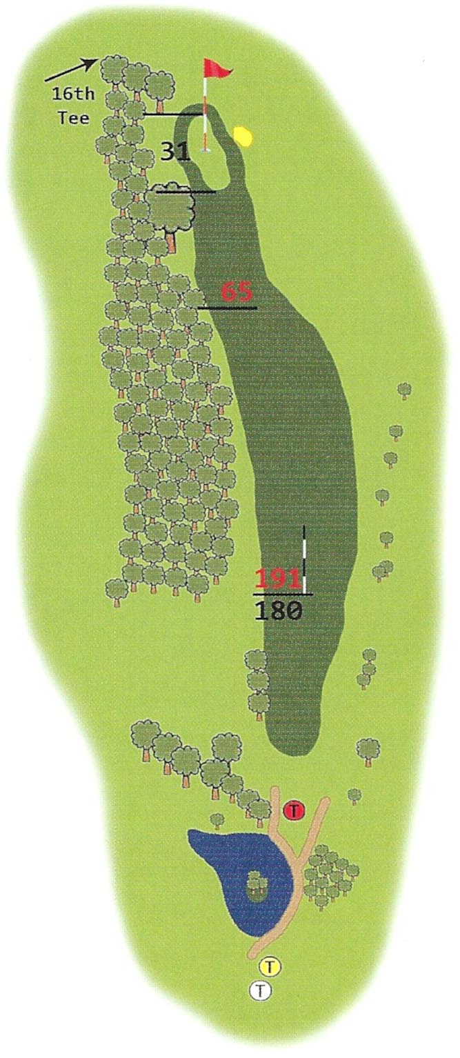 Springwater Golf Course Hole 15